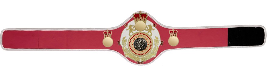 QUEENSBURY PRO LEATHER WRESTLING CHAMPIONSHIP BELT - QUEEN/W/G/WRESTGEM - 10+ COLOURS QUEENSBURY PRO LEATHER WRESTLING CHAMPIONSHIP BELT - QUEEN/W/G/WRESTGEM - 10+ COLOURS